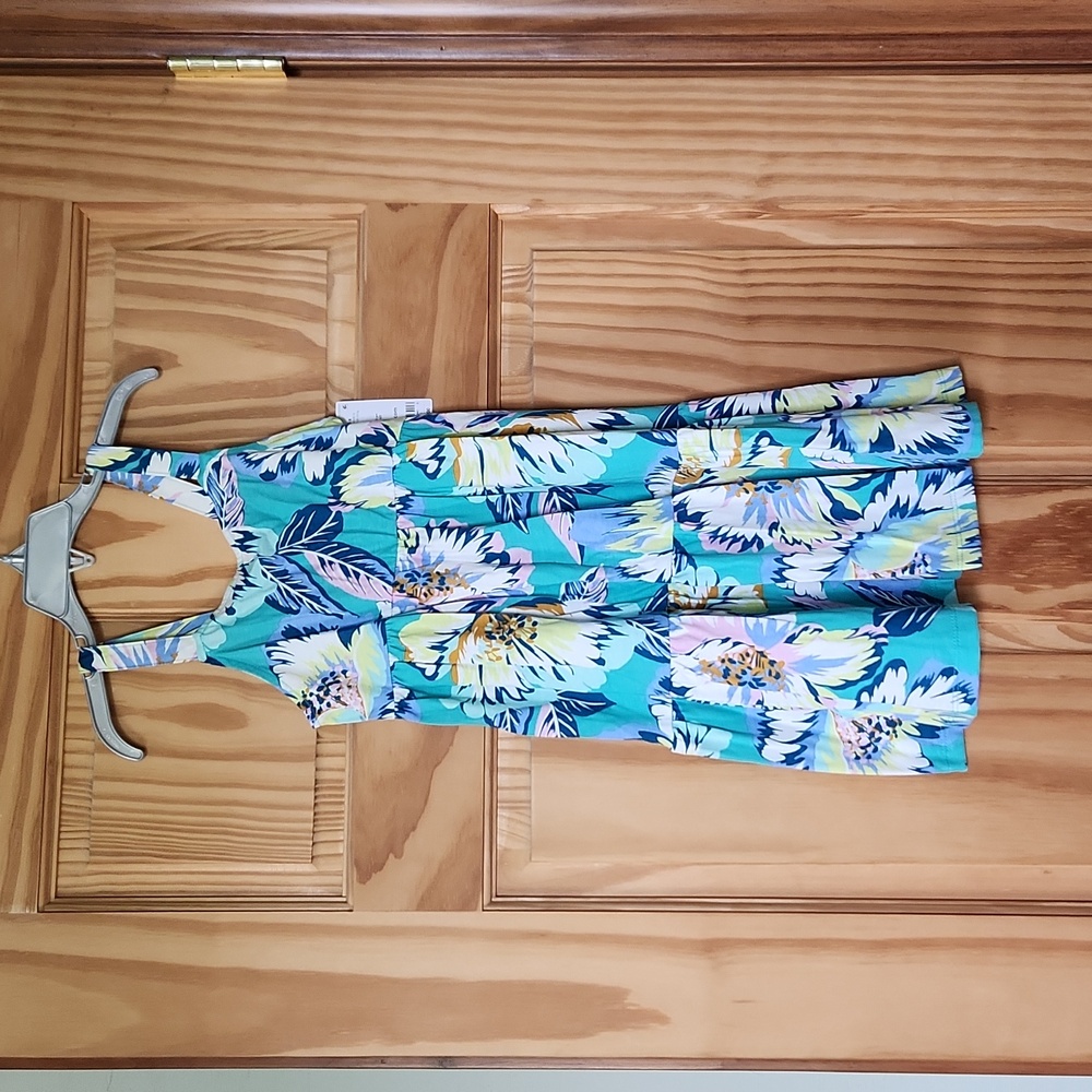 Carter's dress
